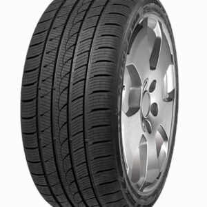 MINERVA S220 245/65R17 Talv