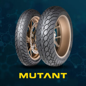 DUNLOP MUTANT TL M+S 160/60R17 Suvi