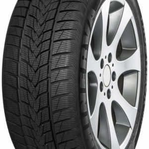 MINERVA FROSTRACK UHP 195/55R20 Talv