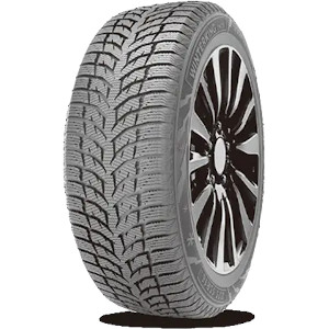 DOUBLESTAR DW08 195/55R16 Talv