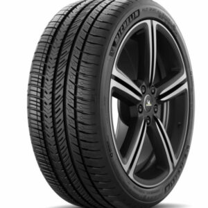 MICHELIN PILOT SPORT A/S 4 295/35R20 Suvi