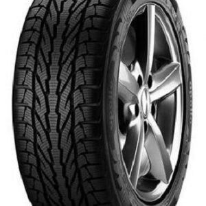 APOLLO Alnac 4G Winter 205/55R16 Talv