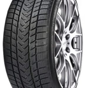 GRIPMAX PRO WINTER XL 325/30R21 Talv