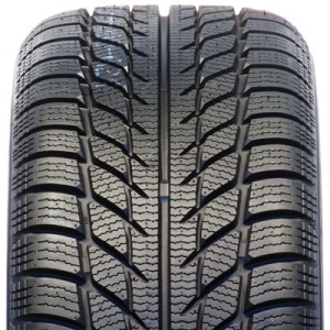 GOODRIDE SW608 205/45R17 Talv