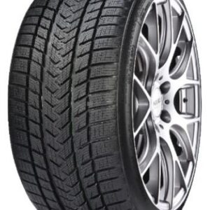 GRIPMAX SUREGRIP PRO WINTER XL 335/25R22 Talv